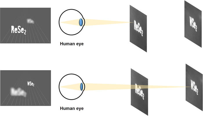 3D Digital Holograms on Smartphones?