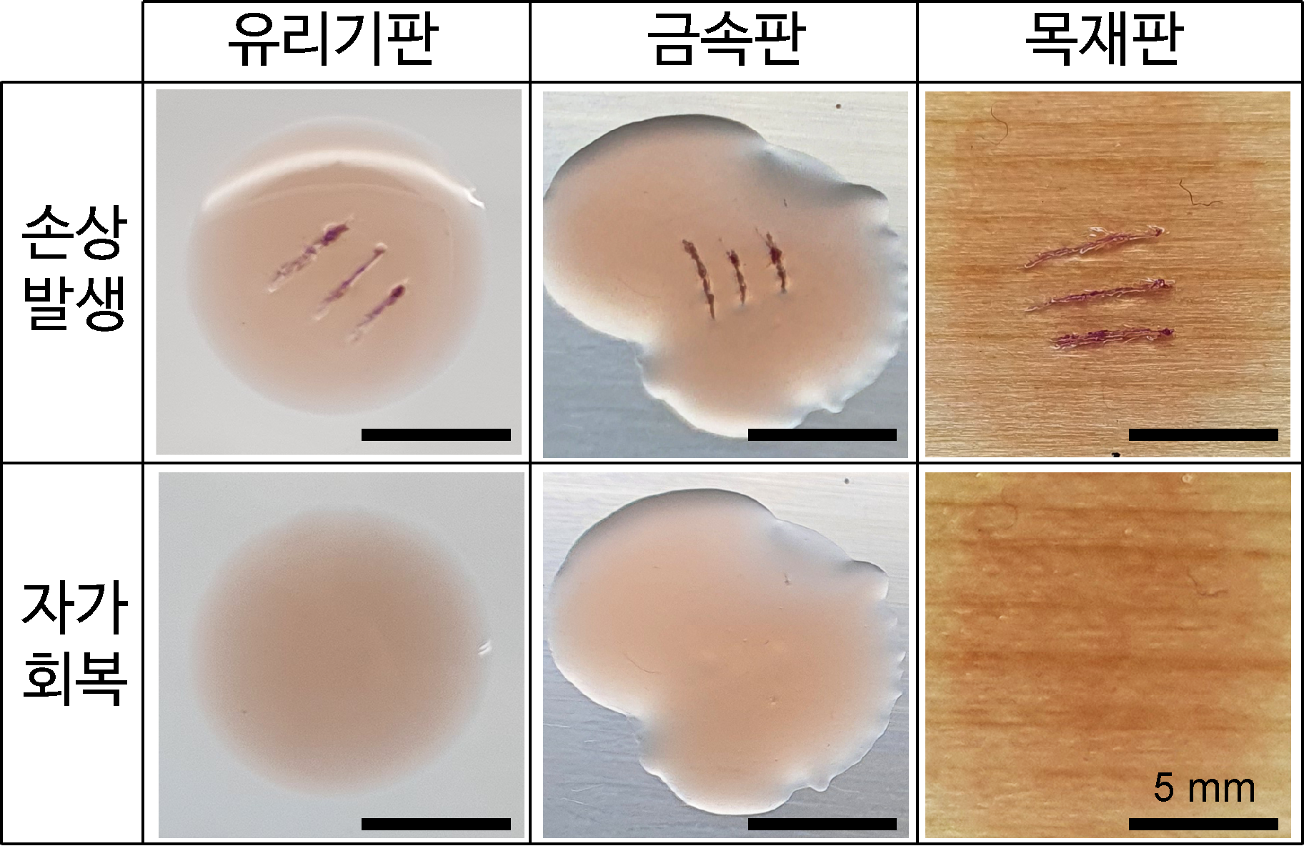 다양한 기판에 코팅제로 적용되어 손상 발생 및 자가 회복 기능을 수행