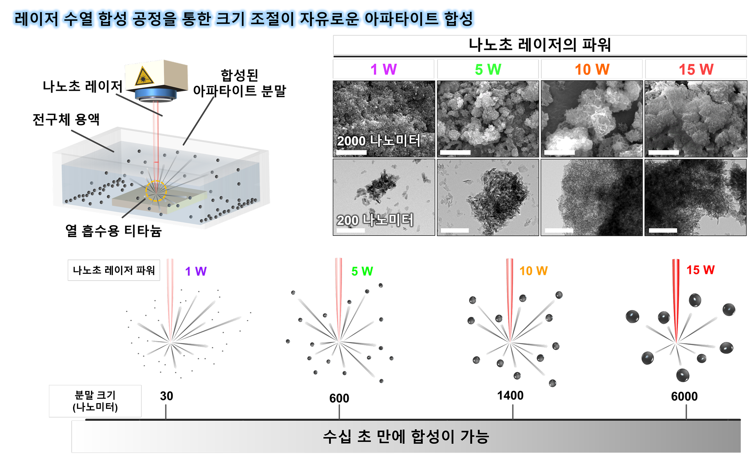 그림 1. 레이저 수열 합성 공정을 통한 크기조절이 자유로운 아파타이트 합성