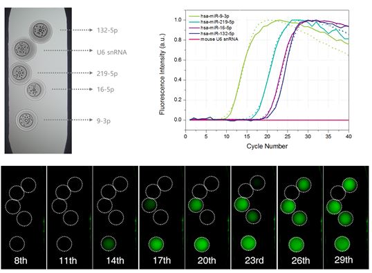 5종의 서로 다른 miRNA  입자를 배열한 후 각기 다른 농도의 유전자를 주입하여 실험한 결과, 각 입자는 서로간의 교차반응 없이 주입된 농도에 맞는 신호를 보임