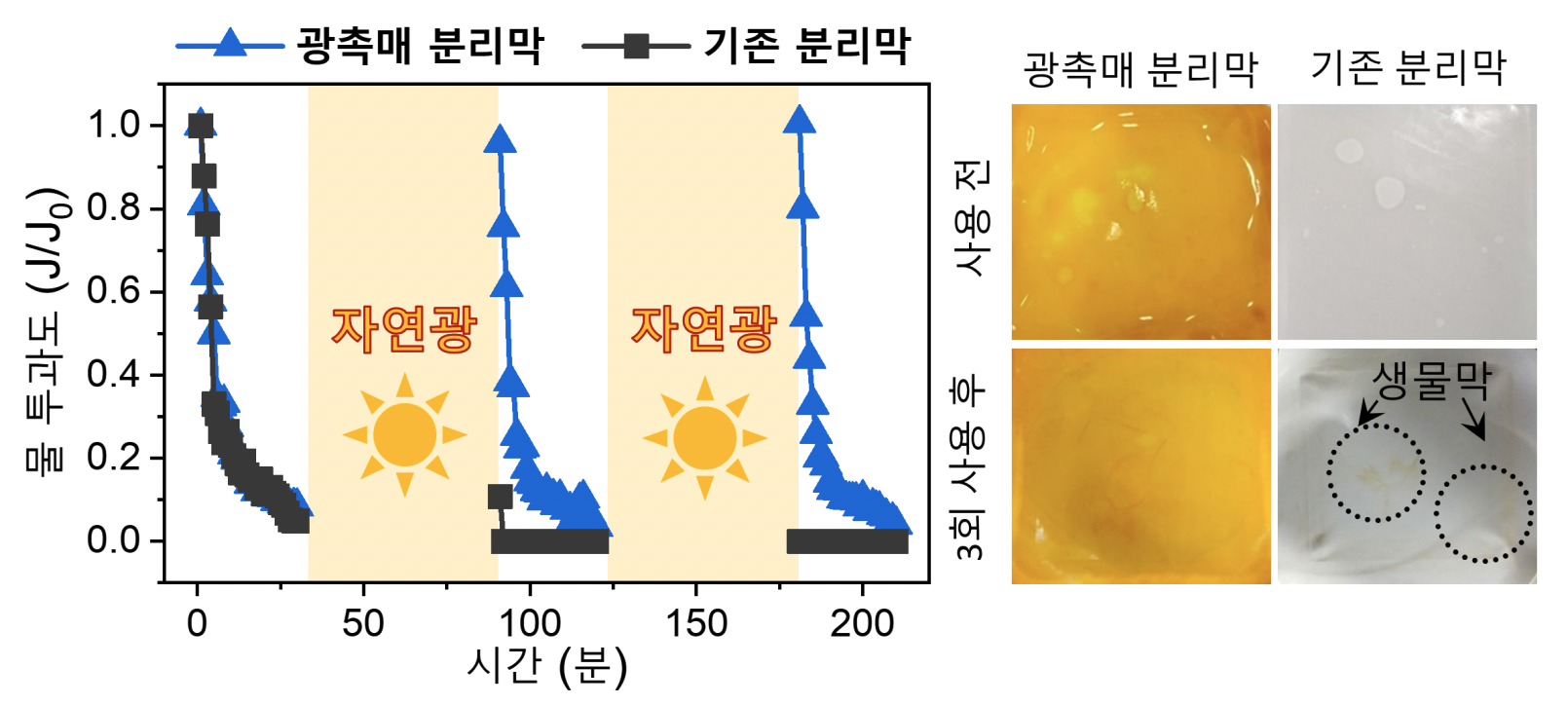 고농도 미생물 오염수 여과 후 자연광 처리로 분리막의 물 투과 성능이 완전히 회복됨을 보여줌