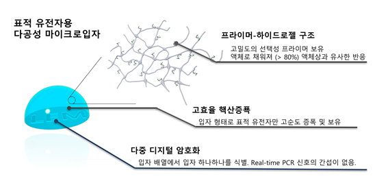 표적 유전자용 다공성 마이크로 입자