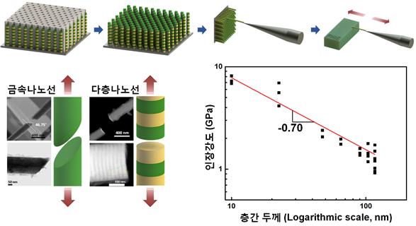  니켈(Ni)/니켈-금(Ni-Au) 다층나노선의 합성방법 개요도(상) 단일 금속 나노선과 다층나노선의 인장파괴 시 절단면 비교(좌하) 다층나노선의 층간 두께에 따른 인장강도(우하)