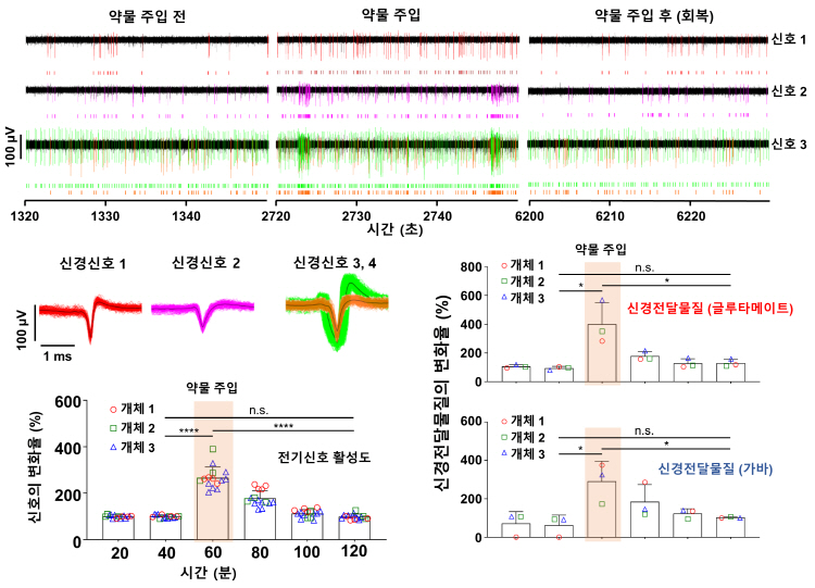 생쥐 뇌에서 신경 활동을 자극하는 약물 주입으로 인한 뇌 신호 및 신경전달물질들의 변화를 관찰