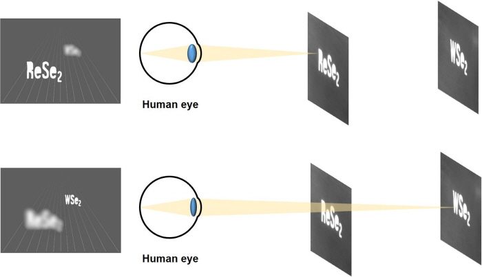 연구진이 구현한 3D 홀로그램의 모습, 앞쪽에 ReSe2 뒤쪽에 WSe2글씨를 3차원으로 이미징 하였다.
 

초점을 앞쪽으로 했을 때는 ReSe2가 선명하게, 뒤쪽으로 했을 때는 WSe2가 선명하게 보인다.