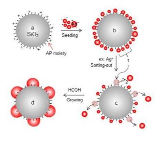 은나노복합체의 합성 과정을 보여주는 모식도
