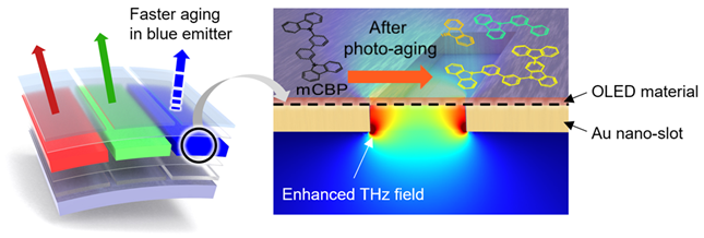 성능저하가 잘 일어나는 OLED 청색발광물질 mCBP가 광분해에 의해 파괴되는 과정을 나노슬롯 메타물질 센싱칩을 이용한 테라헤르츠파 분광기술로 측정하는 도식도