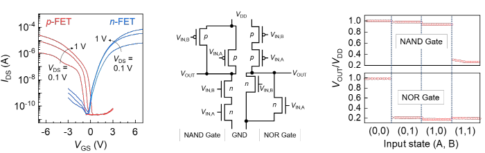 본 연구진이 구현한 이차원 반도체 소자 및 논리 소자의 동작 결과. 