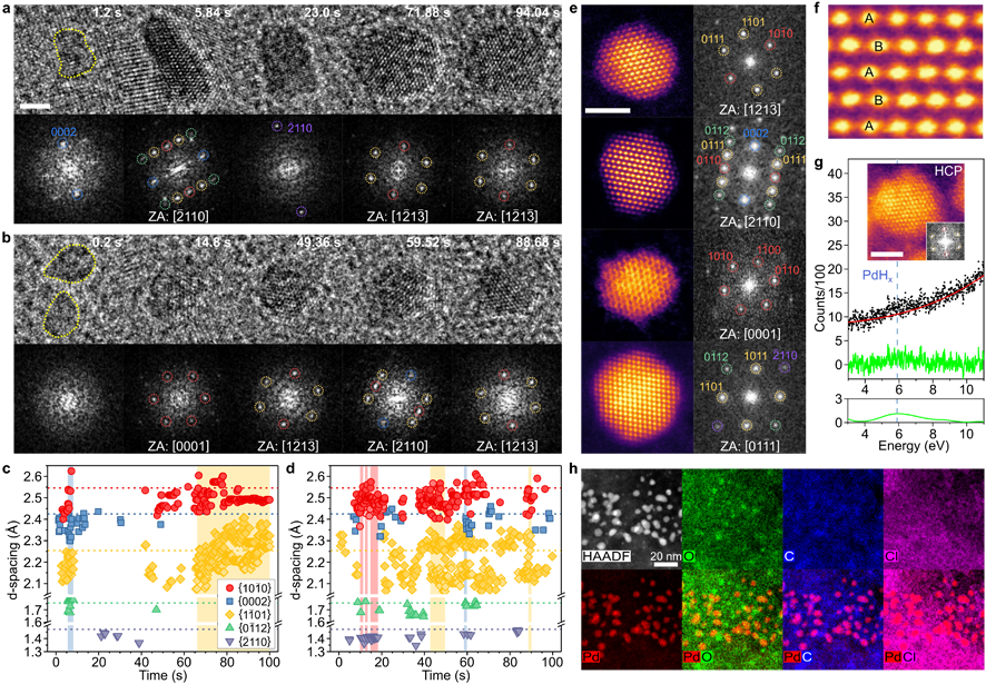투과전자현미경을 통해 관찰한 액상 내 준안정 팔라듐 수소화물 나노입자 생성과정 실시간 분석
