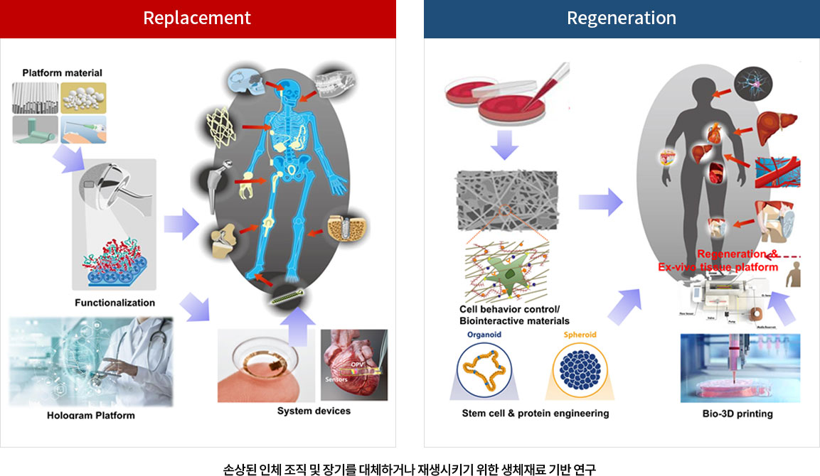 생체재료 연구센터 연구목표 이미지