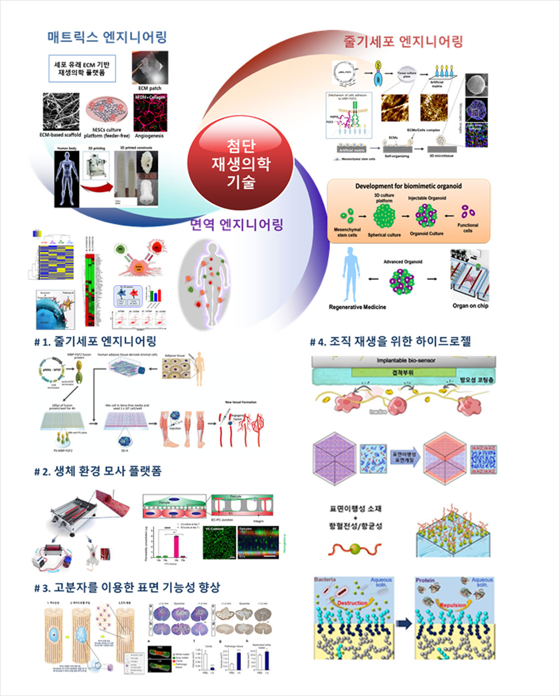 생체재료 연구센터 첨단 재생의학 기술 개발 이미지