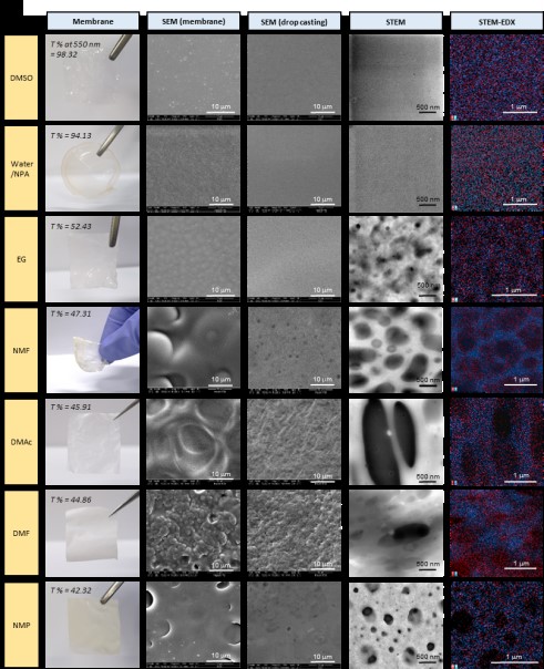 The appearance of the protonated phosphonic acid film affected by the ionomer dispersion solvent, and the films’ microstructures and elemental analyses examined using electron microscopy.