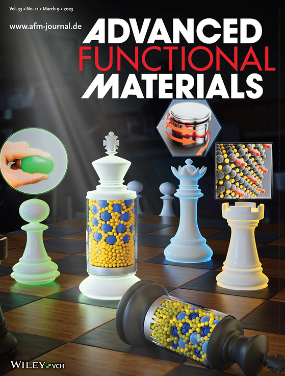 ADVANCED FUNCTIONAL MATERIALS