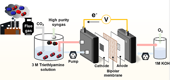 Schematic of the novel electrochemical CO2 reduction technology(RSA pathway)