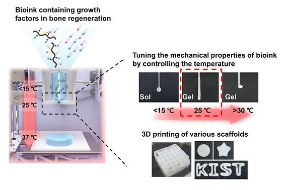 Tuning mechanical properties of bioink according to temperature and 3D scaffold printing