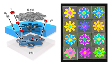 수소 감응형 변색 센서 구조 모식도(왼쪽), 센서 소재와 구조에 변화를 주어 수소 흡수 시 다양한 색상을 가지도록 제작한 꽃무늬(오른쪽)