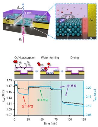 Observe the metastructure and optical constants of the palladium-catalyzed reaction as a function of the concentration ratio of hydrogen and oxygen, the thickness of the resulting water layer, and the resulting terahertz signal changes.