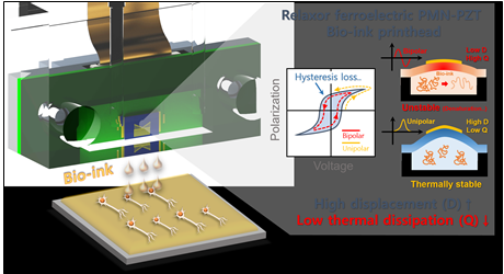 [Figure 1] Schematic of a high-performance piezoelectric material-based print head for bioprinting applications