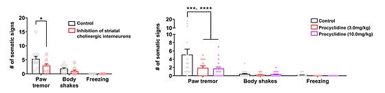 Overcoming Nicotine Withdrawal: Clues Found in Neural Mechanisms of the Brain