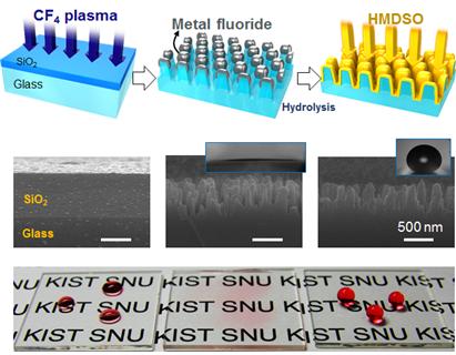 자연현상 나노돌기 표면을 활용 쉽고 친환경적으로 기능성 유리 제작