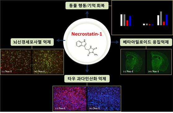 KIST, 두 마리 토끼 잡은 알츠하이머병 신약물질 발굴