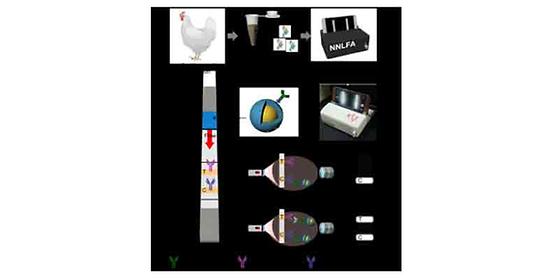 현장에서 고감도로 검출 가능한 조류인플루엔자(AI) 바이러스 진단 신기술 나왔다