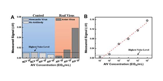 현장에서 바로 조기 진단 가능한 조류인플루엔자(AI) 바이러스 검출 신기술 나왔다