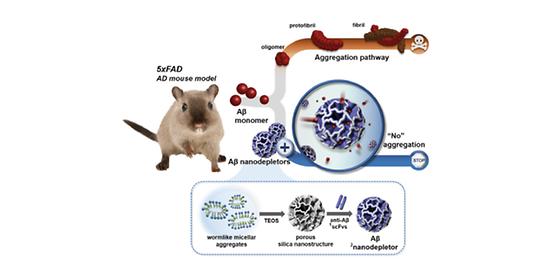 KIST, 치매 원인 물질(베타-아밀로이드)만  빨아들여 제거하는 나노 청소기 개발