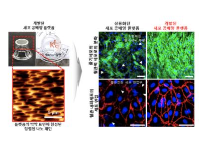 인공 장기, 피부 등 생체조직 더욱 쉽게 만든다