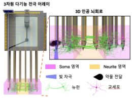 인공 뇌 신호 분석해서 뇌 지도 제작한다