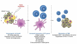고지혈증 약 스타틴으로 난치성 변이암을 면역 치료한다