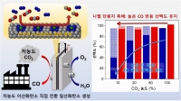 저농도 CO2→CO 직접 전환기술 개발